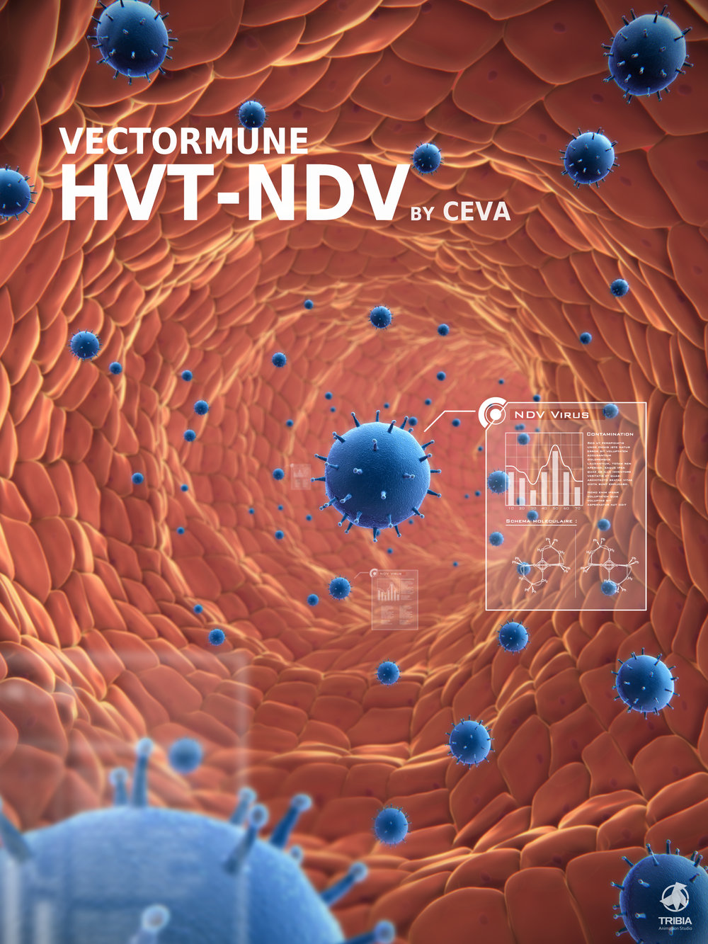 tribia_sciences_affiche_vectormune_CEVA
