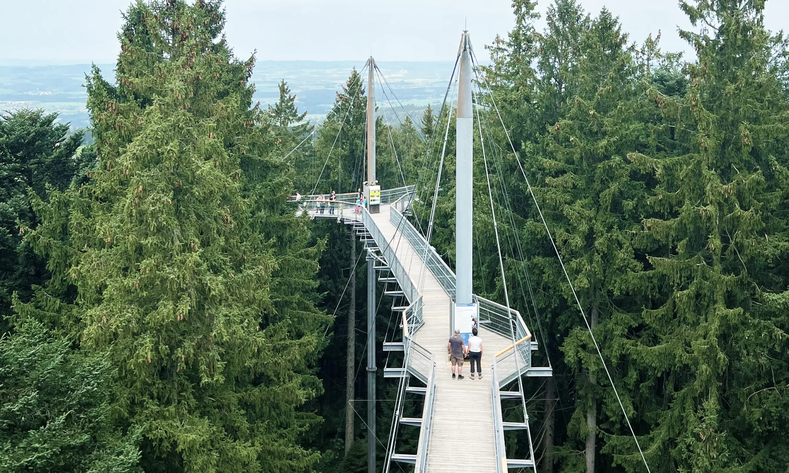 bridge forest Pont forestier