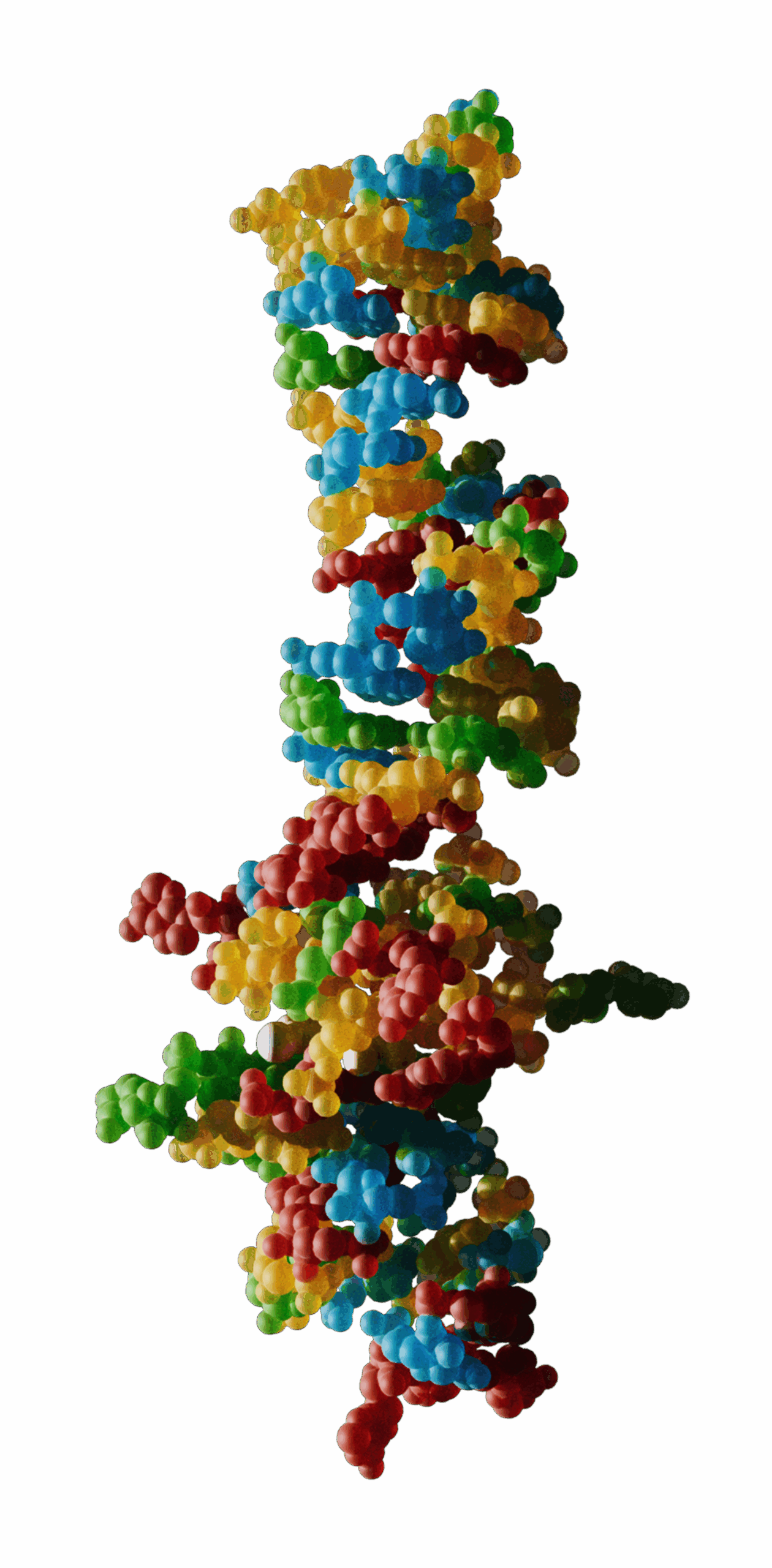 molecule aptamer copie