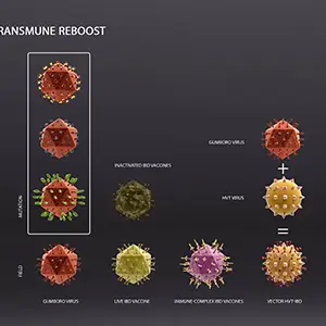 Configurateur 3D en ligne vulgarisation scientifique et biotechnologie, rendu 3d 